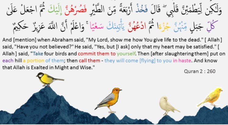 ababil-bird-of-abrahim-in-quran