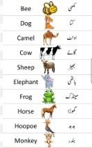 animals-mentioned-in-quran