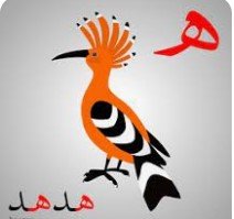 hoopoe-hudhud-in-quran